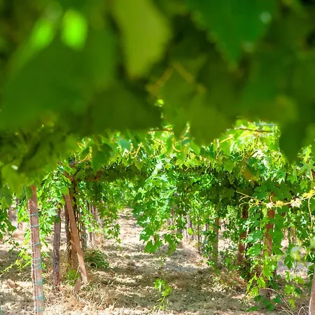 Charming Boutique * Villalfonsina