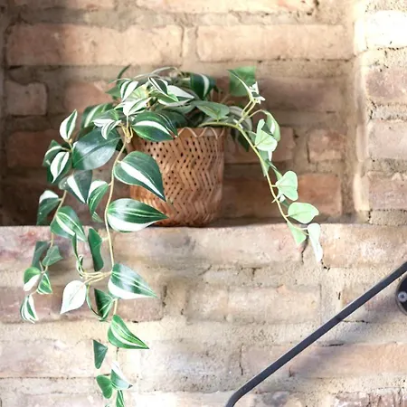 Inn Charming Boutique