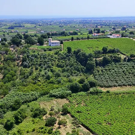 Inn Charming Boutique Villalfonsina