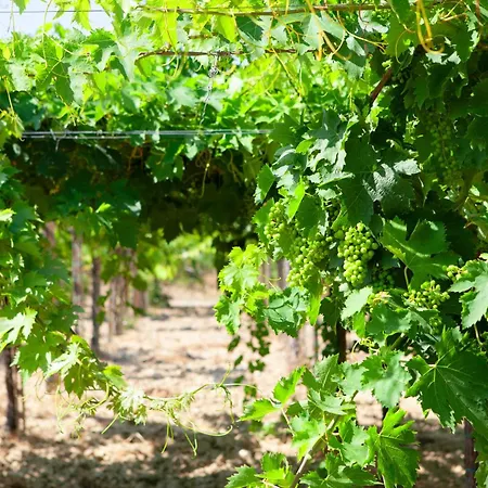 Charming Boutique Inn