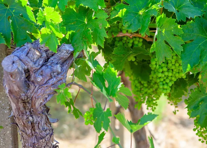 Charming Boutique Locanda Villalfonsina