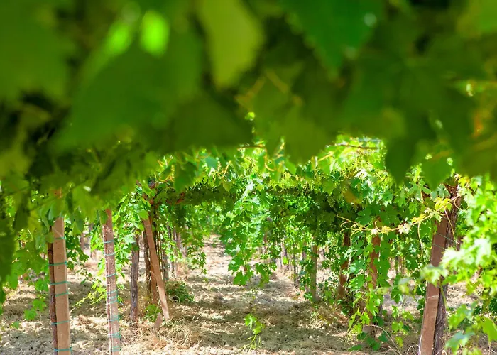 Charming Boutique * Villalfonsina