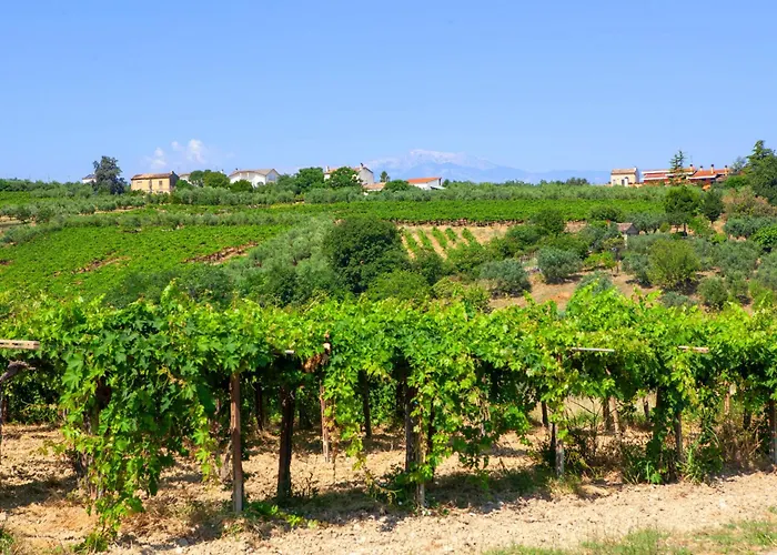 Charming Boutique Villalfonsina