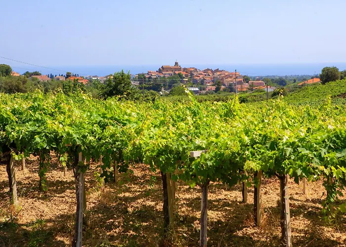 Charming Boutique * Villalfonsina