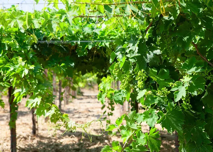 Charming Boutique 宾馆